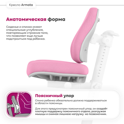 4. Анатомическая форма