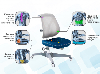 02. Поддержка спины
