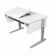 СУТ.62 раздельная парта дэми сут.62 с выдвижным пеналом Дэми  раздельная парта дэми сут.62 с выдвижным пеналом Дэми СУТ.62